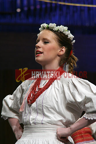 lisinskizeljeznicar (37)